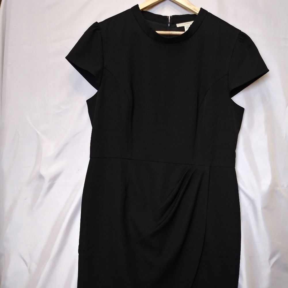 Lark & Ro Little Black Dress